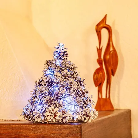 Casa Leonida Apartament *